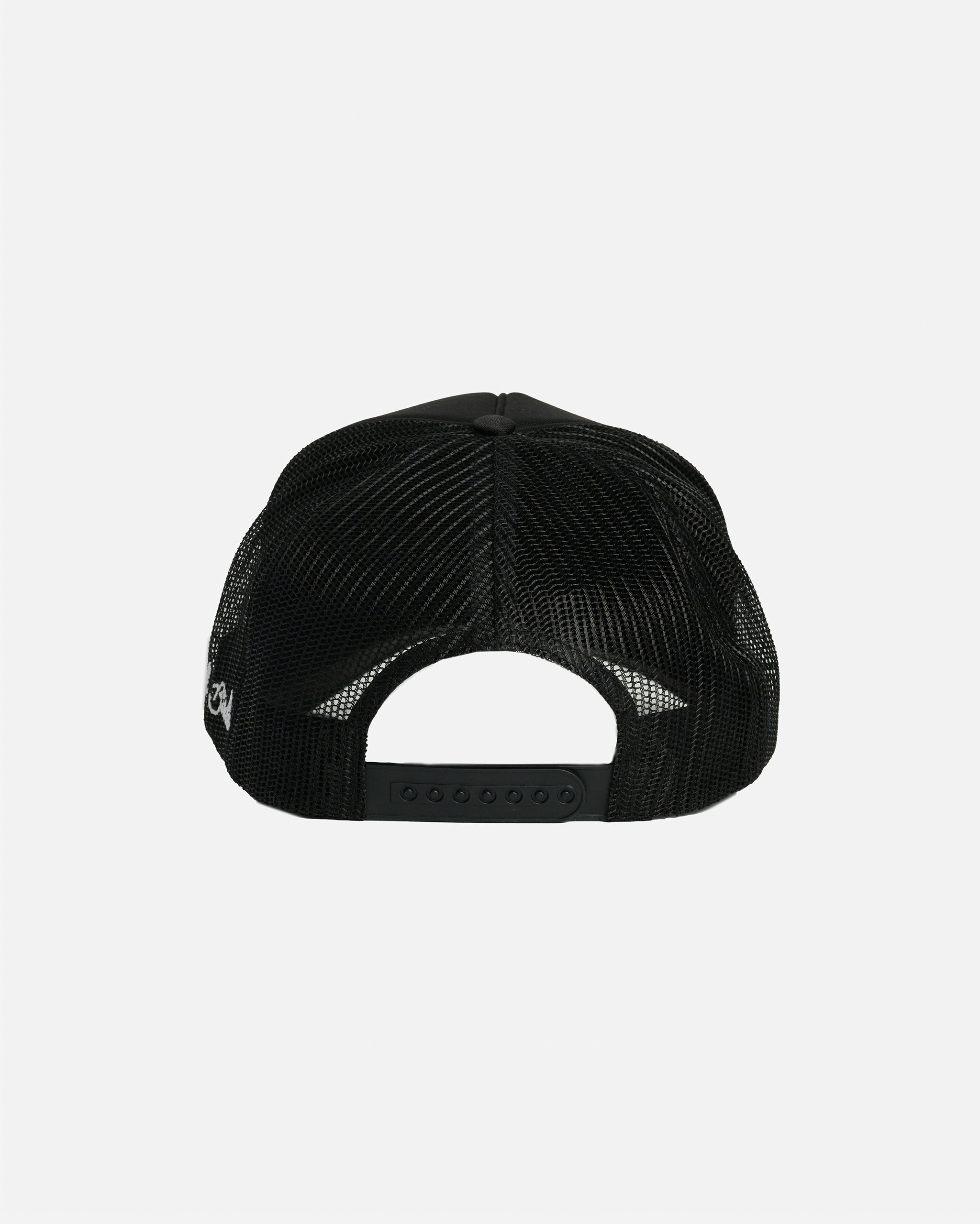 Houston Trucker Hat - Bad Birdie